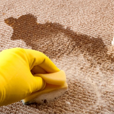 Carpetcare-tough-stains | Bud Polley's Floor Center