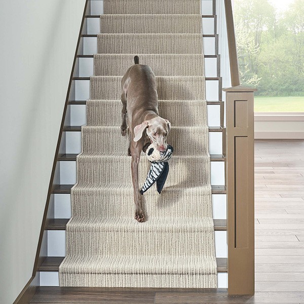 Stair Runners | Bud Polley's Floor Center