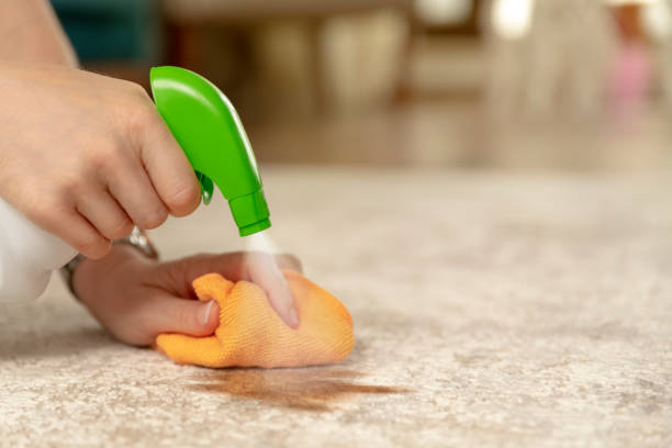 Tough Carpet Stains cleaning | Bud Polley's Floor Center