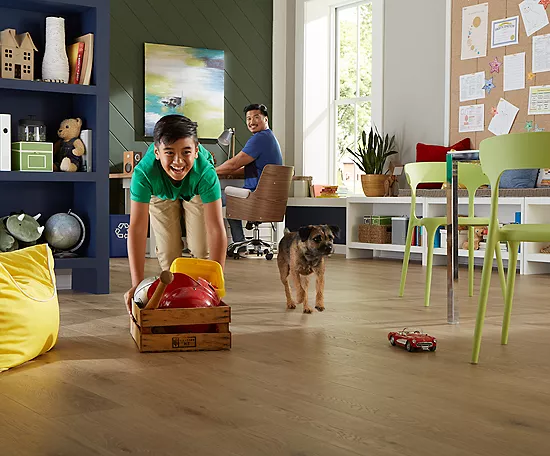 Safeguarding Floors from Pets | Bud Polley's Floor Center
