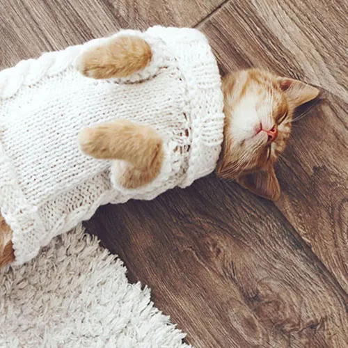 Hardwood-bonus-tips-500-x-500